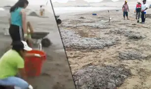 Moquegua: el mar varó 10 toneladas de malaguas en playa de Ilo