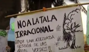 La Molina: vecinos denuncian tala de árboles por ampliación de vía