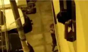 SJL: hombre golpea salvajemente a su pareja en plena calle