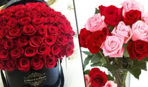 EEUU: novedosas rosas que no se marchitan son la sensación para San Valentín