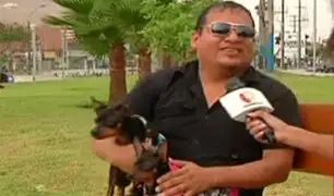 Así fue el emotivo reencuentro entre un peruano y sus mascotas luego de un año