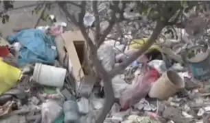 Surco: autoridades recogen desmonte de basura en urbanización Próceres