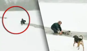 Canadá: mujer salva a perro que cayó en un lago congelado
