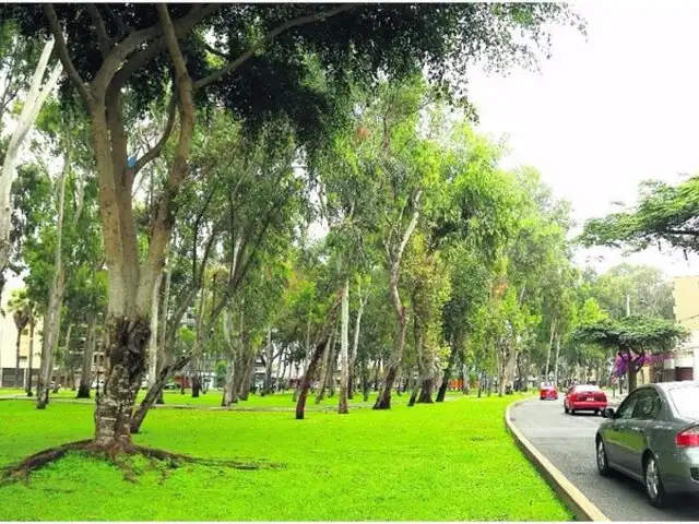 Avenida Aramburú: MTC otorga certificación ambiental a MML