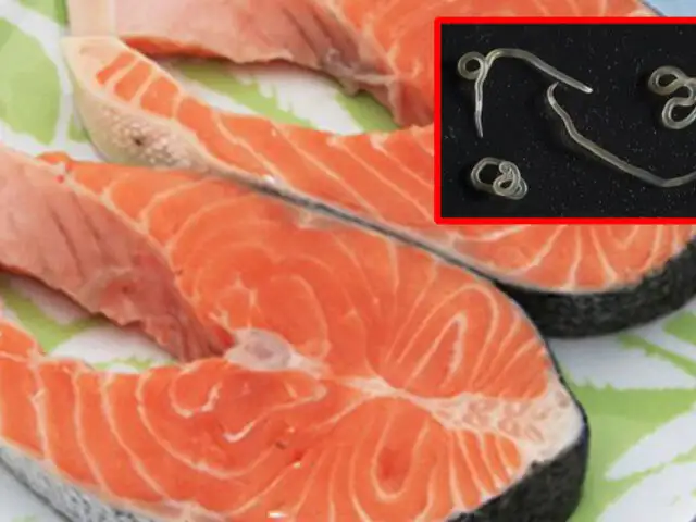 Sushi: comer pescado crudo podría contagiarlo del peligroso anisaki