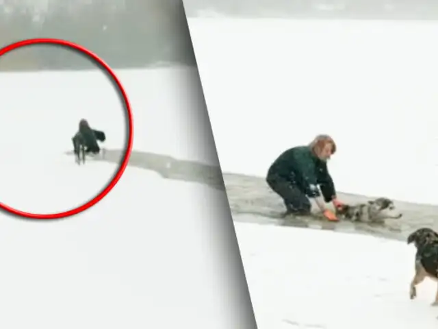Canadá: mujer salva a perro que cayó en un lago congelado