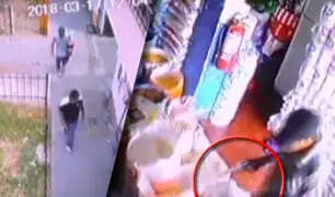 Cámaras de seguridad registraron asalto a tienda de abarrotes en Ate