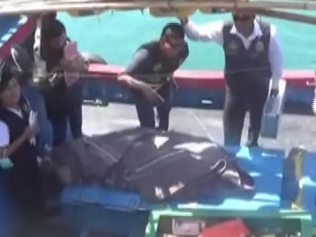 Ilo: pescador muere tras ser atacado por una mantarraya