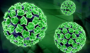 VPH: Los 7 mitos y verdades que debes saber sobre el Virus del Papiloma Humano [FOTOS]