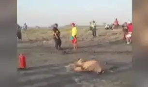 Arequipa: hallan cuerpos de pescadores desaparecidos hace 10 días