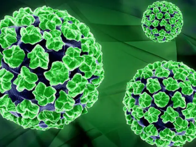 VPH: Los 7 mitos y verdades que debes saber sobre el Virus del Papiloma Humano [FOTOS]