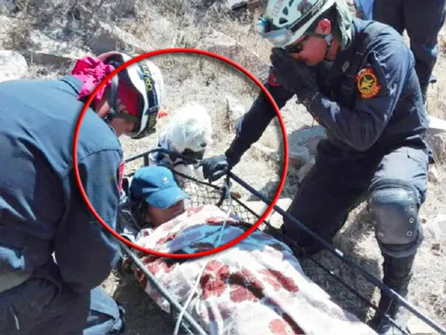 Arequipa: gracias a ladridos de su mascota, rescatan a mujer que cayó por una pendiente