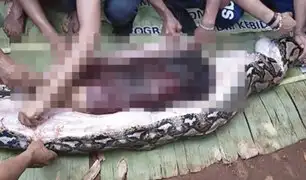 Insólito: pitón gigante engulle a una mujer en Indonesia