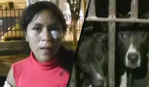 Ate: mujer es atacada salvajemente por perros de raza pitbull