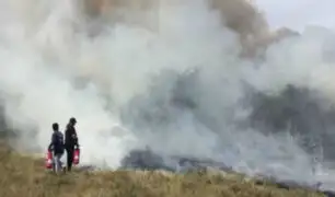 Tumbes: incendio forestal daña 1.5 hectáreas de pastizales