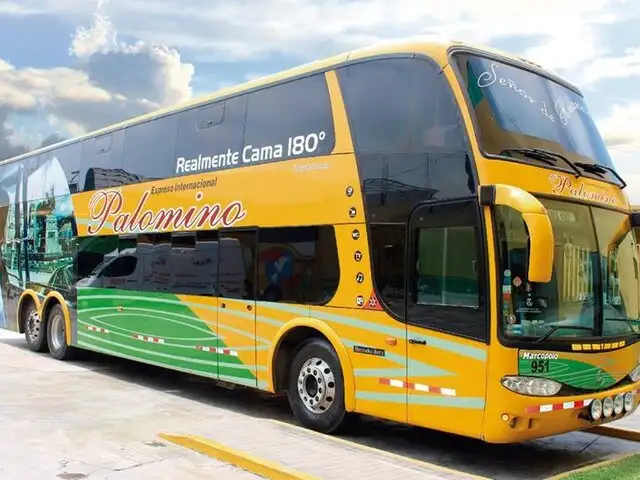 Empresa de transporte Palomino se pronuncia sobre violación a terramoza en bus