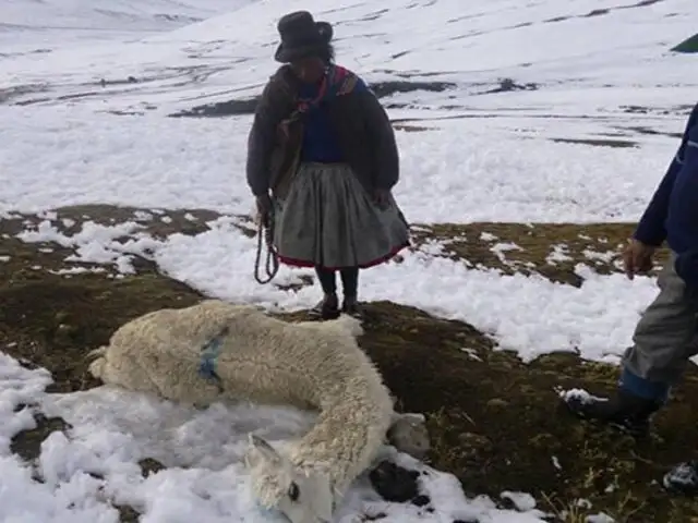 Heladas en Cusco dejan hasta el momento 5 muertos