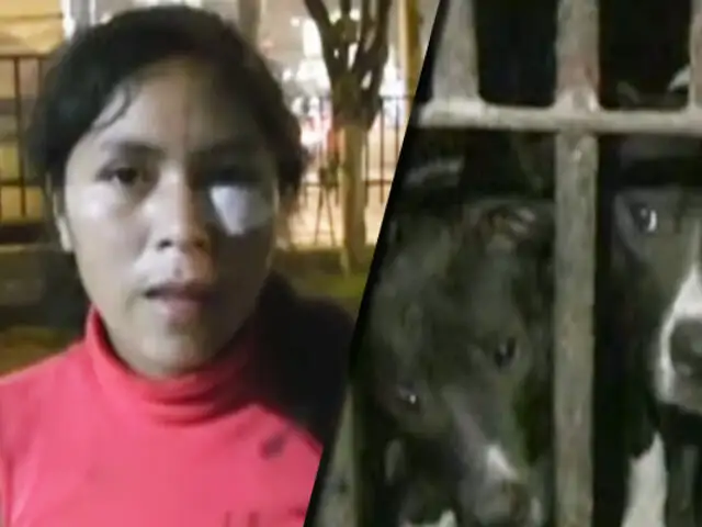 Ate: mujer es atacada salvajemente por perros de raza pitbull