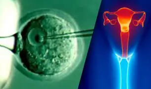 Dinamarca: científicos desarrollan ovarios artificiales para mujeres que padecieron cáncer
