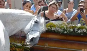 Brasil: caballo llora la muerte de su jinete y amigo en funeral