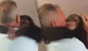 EEUU: el emotivo reencuentro de un chimpancé con sus excuidadores