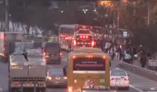 Paraderos informales en la Panamericana Sur son un peligro constante para peatones