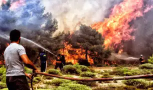 Grecia: cifra de muertos por incendio forestal asciende a 91 personas