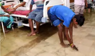Inundaciones en India arrastran a peces hasta hospital