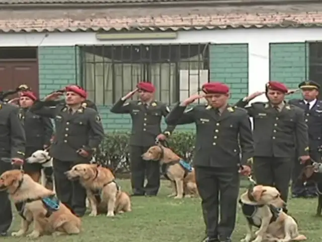 Policía certifica a 23 canes especialistas en búsqueda y rescate de personas