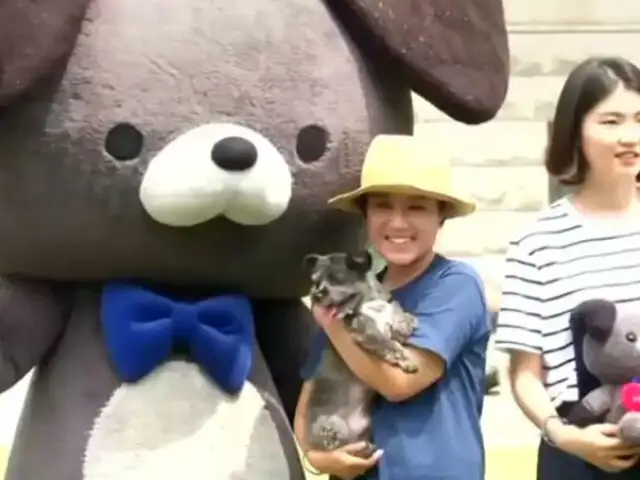 Corea del Sur: Esta campaña busca que la gente adopte perros en lugar de comérselos [VIDEO]