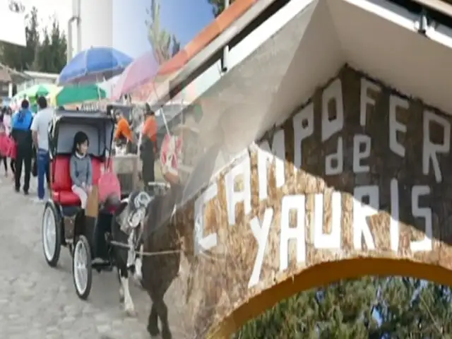 Huancayo: artesanos, ganaderos y productores se congregan en la tradicional feria de Yauris