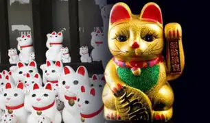 Maneki Neko: esta es la historia del llamado "Gato de la Suerte"