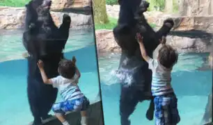EEUU: oso causa sensación por brincar junto a niño de cinco años