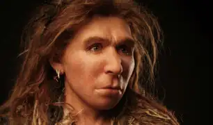 Descubren a la hija de una neandertal y un denisovano, especies humanas extintas hace miles de años