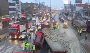 Toneladas de cemento quedaron desperdigados en la Panamericana tras accidente