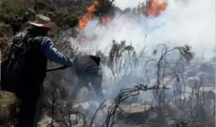 Controlan gran incendio forestal en Arequipa