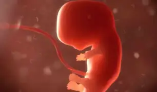 Aprueban ley ‘latido del corazón’ que prohíbe aborto en Georgia