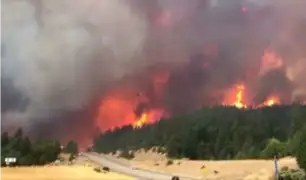 California: voraz incendio afectó el Bosque Nacional de Shasta-Trinity