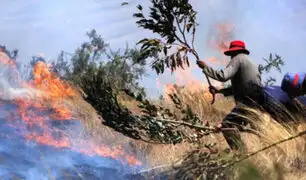 Un muerto y tres heridos deja hasta el momento incendio forestal en el Cusco