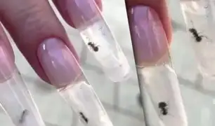 Hormigas encerradas dentro de uñas: extraña moda de manicure genera indignación