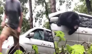 EEUU: familia encuentra un oso hambriento dentro de su vehículo