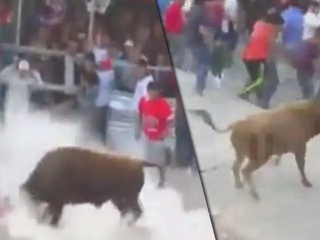 Ayacucho: 12 heridos deja corrida de toros durante fiesta patronal