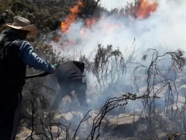 Controlan gran incendio forestal en Arequipa