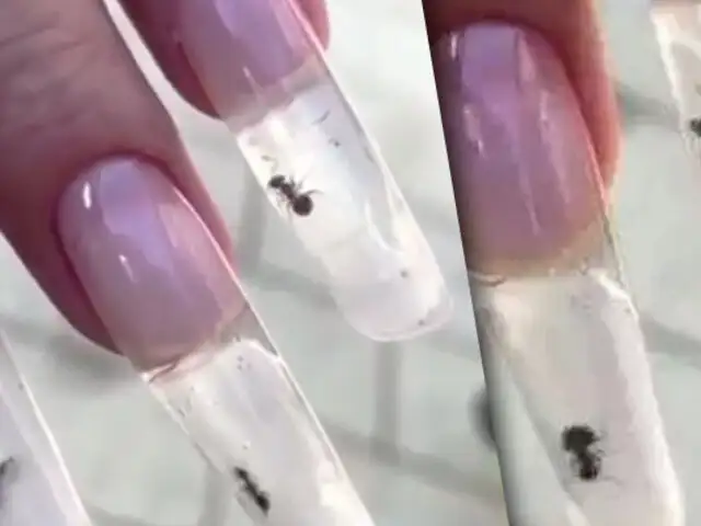 Hormigas encerradas dentro de uñas: extraña moda de manicure genera indignación