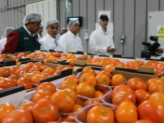 Perú exportará mandarinas a Japón luego de 10 años de gestiones