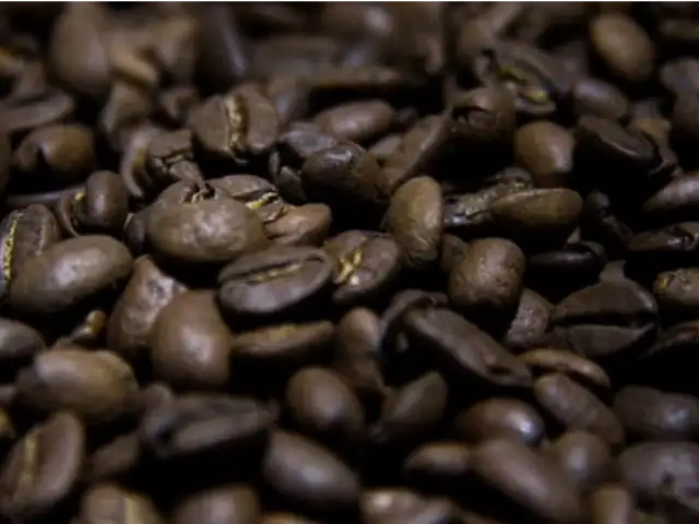 Junín: India y Rusia se muestran interesados en café peruano
