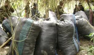 Incautan 459 kilos de hoja de coca y detienen a dos personas en el Vraem