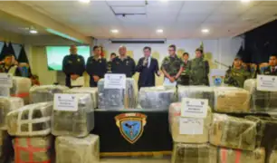 Dirandro incautó más de 800 kilos de marihuana en Cañete