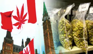 Canadá enfrenta escasez de marihuana legal a pocos días de su legalización