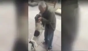 Tierno reencuentro entre dueño y su perro se vuelve viral